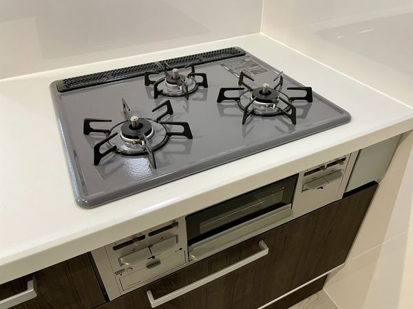 京都市伏見区桃山南大島町　新築一戸建て　１期　１号棟