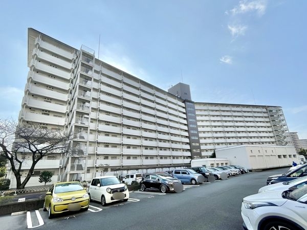 向島ニュータウン第三街区C棟　中古マンション