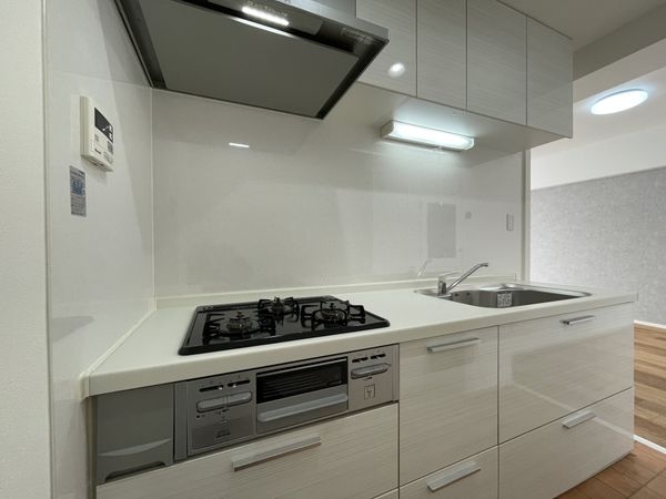 エルシティ桃山　中古マンション
