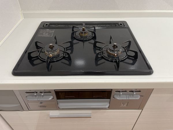 エルシティ桃山　中古マンション