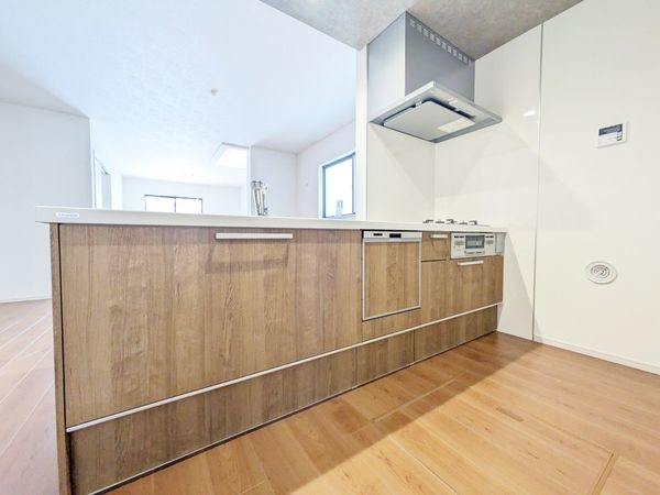 草津市南笠東１丁目　新築一戸建て　全２区画　１号棟