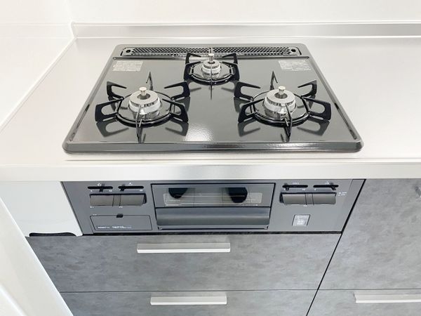 エルシティ桃山　中古マンション