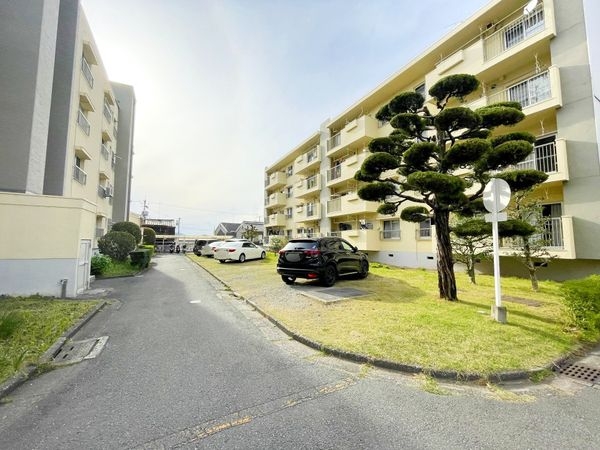 鳥羽街道団地Ｆ棟　中古マンション