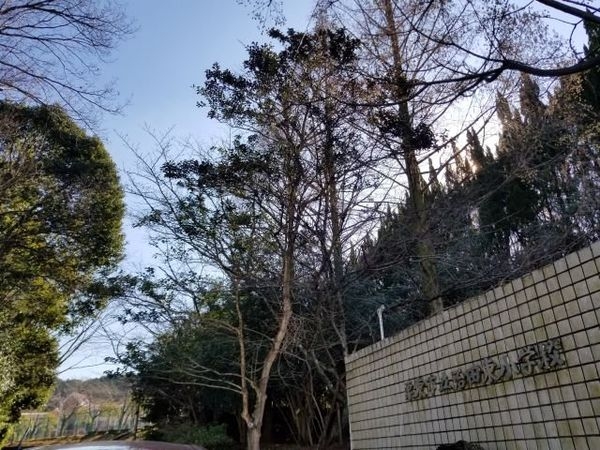 ヴェルドミール栗東　中古マンション(栗東市立治田東小学校)