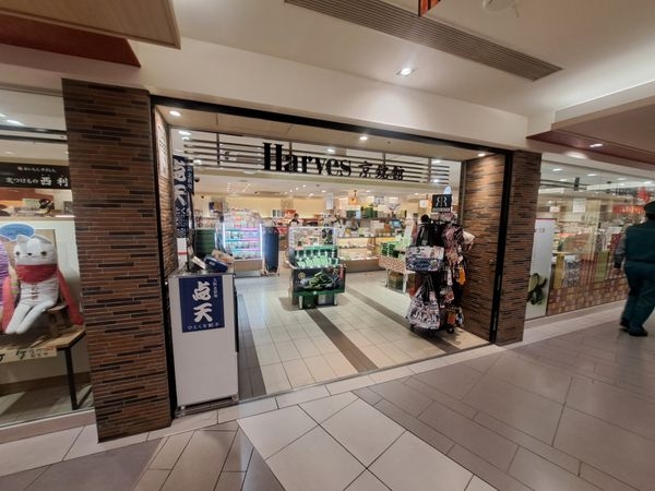 京都市南区東九条北松ノ木町の中古一戸建て(ハーベス京都店)
