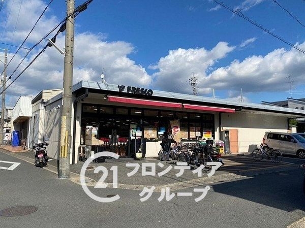 京都市伏見区向島吹田河原町　新築一戸建て(フレスコ向島店)