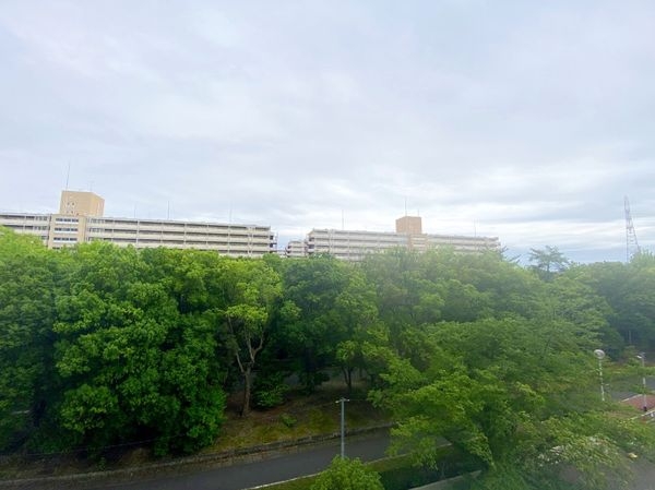 向島ニュータウン２街区Ｂ棟　中古マンション