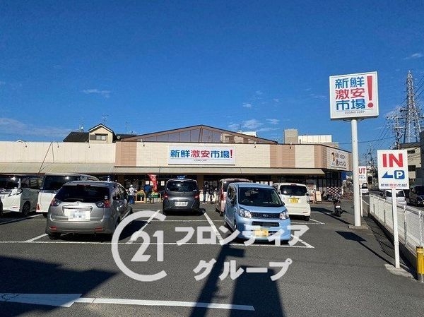 京都市伏見区久我御旅町　新築一戸建て　３１期　１９号地(新鮮激やす市場！久我の杜店)