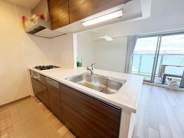 プレサンスロジェ琵琶湖グランドビュー　中古マンション
