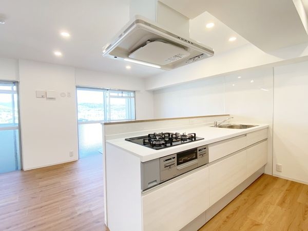 ローズマンション藤ノ森Ｂ棟　中古マンション