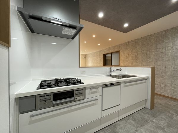 京都市南区西九条唐戸町　新築一戸建て　全１区画