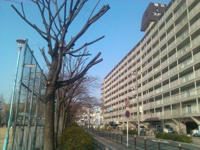 佃公園スカイハイツ
