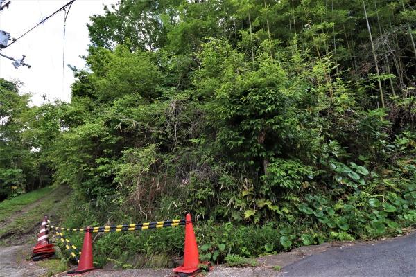 生駒市菜畑町の土地