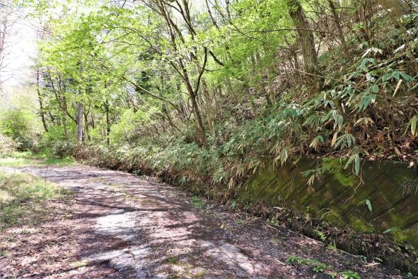 奈良市針町の土地