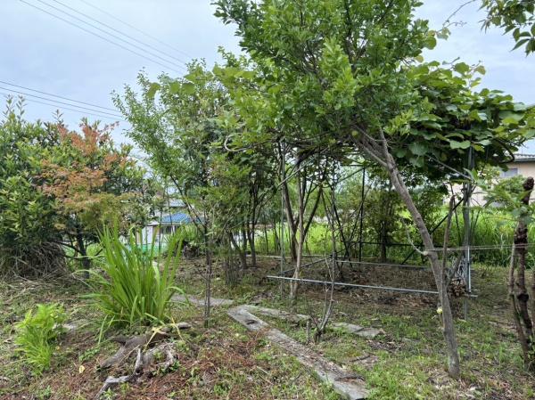 名張市つつじが丘南５番町の土地