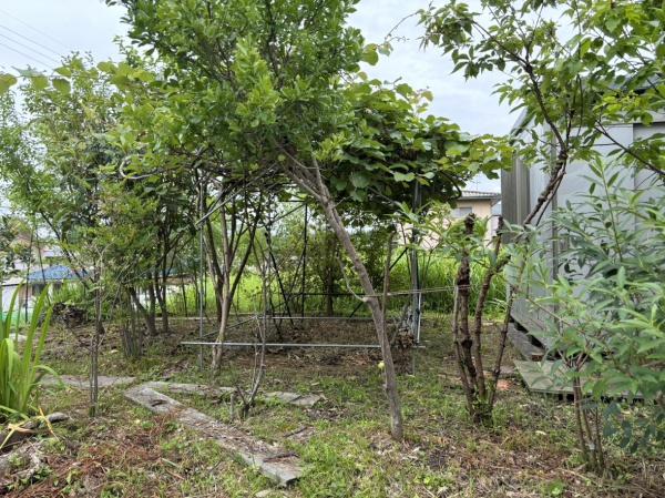 名張市つつじが丘南５番町の土地