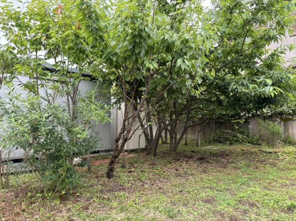名張市つつじが丘南５番町の土地