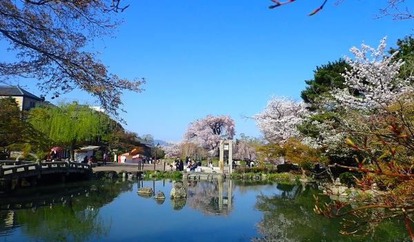 フェルティ祇園(円山公園)