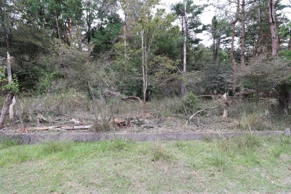 奈良市生琉里町の土地