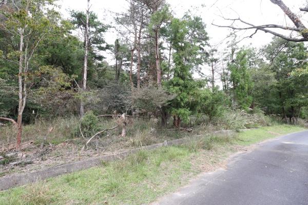 奈良市生琉里町の売土地