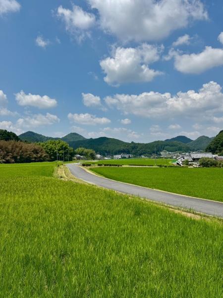 奈良市都祁こぶしが丘の中古一戸建て