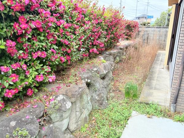 磯城郡川西町大字結崎の中古一戸建て