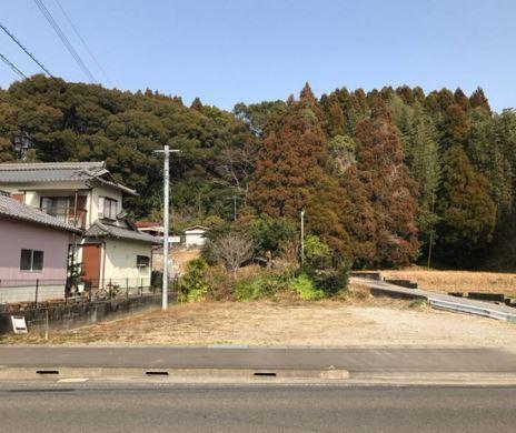 東諸県郡国富町大字岩知野の土地