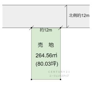 東諸県郡国富町大字本庄の土地