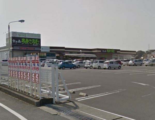 宮崎市佐土原町下田島の中古一戸建て(ながの屋プラス食の森うめこうじ佐土原本店)