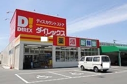 宮崎市大字金崎の土地(DiREX国富店)