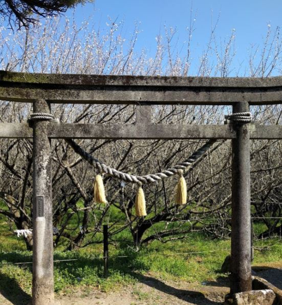 宮崎市高岡町飯田4丁目の中古一戸建て(月知梅公園)
