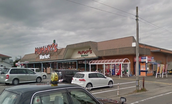 宮崎市大塚町権現前の中古一戸建て(マルミヤストア大塚店)