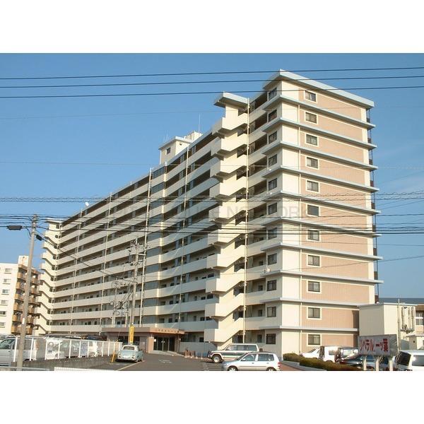リベラル一ツ葉