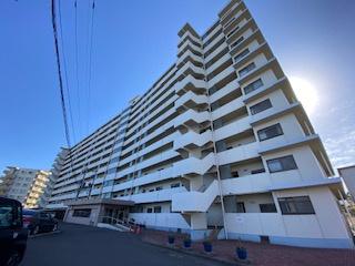 リベラル一ツ葉