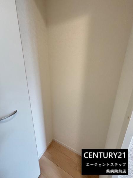 宮崎市大字赤江の新築一戸建(収納)