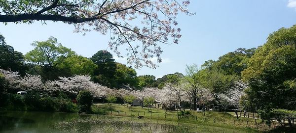 淀川第1-1号棟 新築(天神山公園)