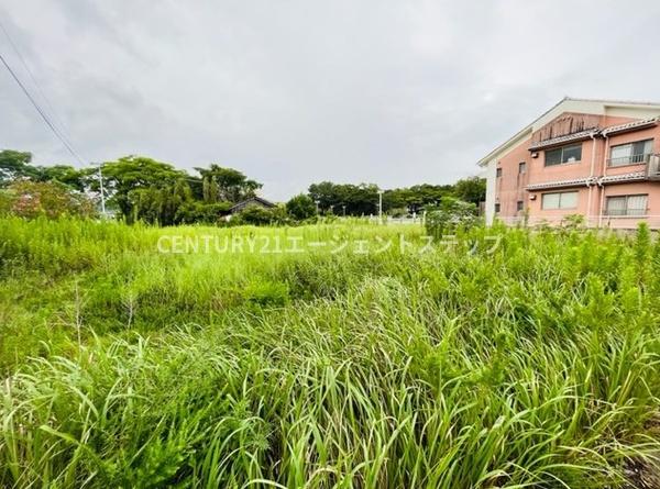 日南市大堂津5丁目土地