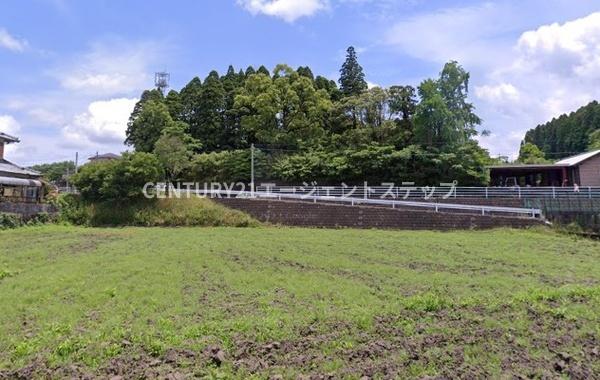 田野町甲　土地