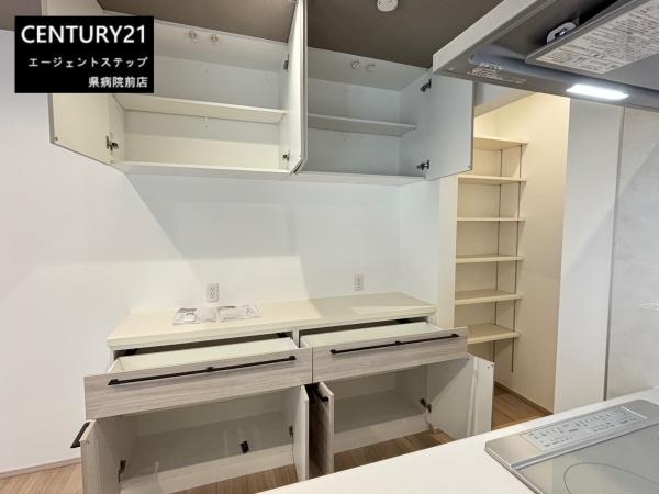 タマタウン大塚Ⅵ　1号地