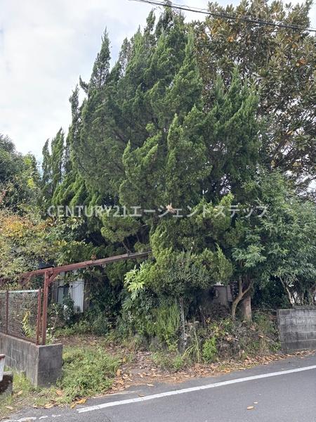 都城市志比田町の土地
