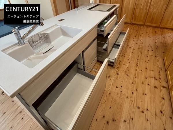 三股町樺山モデル