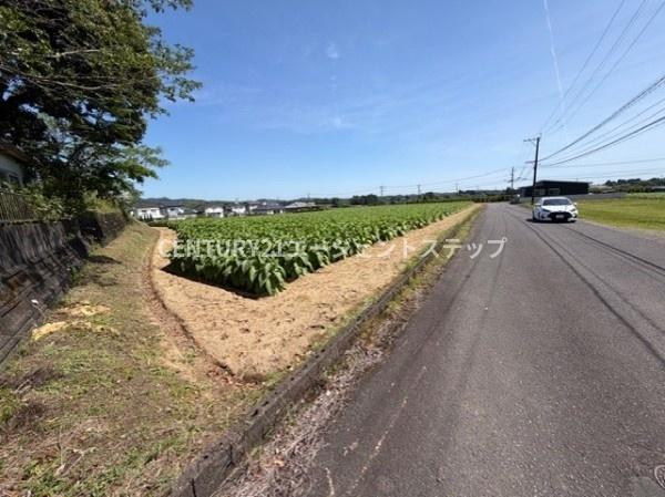 田野町乙土地