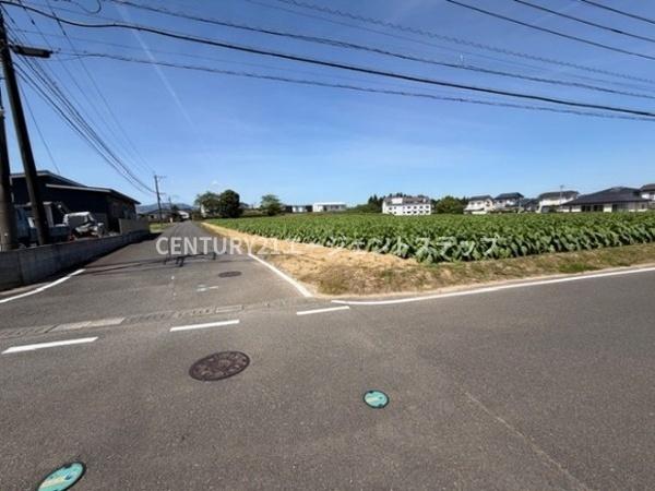 田野町乙土地