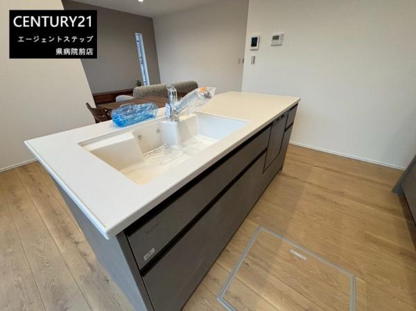 FelidiaGarden佐土原町下田島4号棟　新築