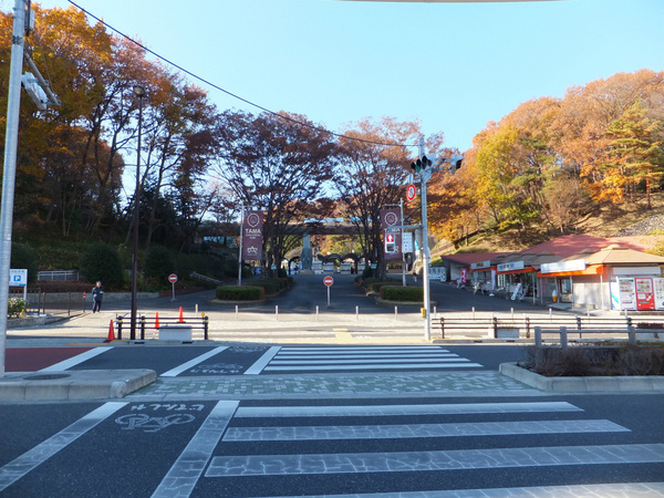 ドラゴンマンション多摩学園都市伍番館8階(多摩動物公園)