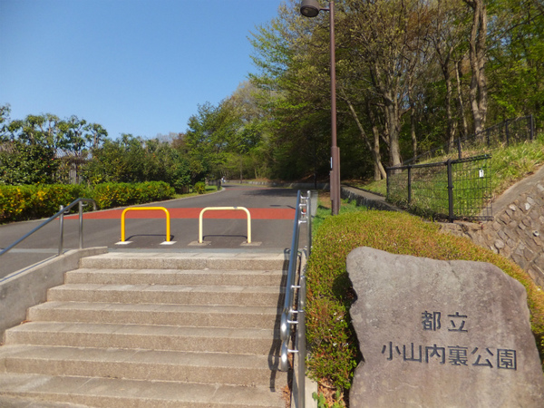 パークフィーネ南大沢４番館　８階(東京都立小山内裏公園)