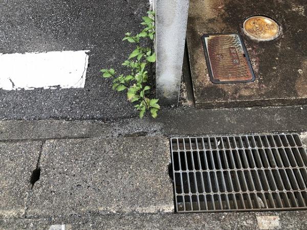 富山市神通町２丁目の土地