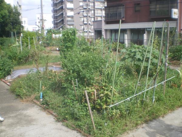 茨木上穂積住宅　二棟