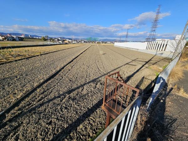茨木市目垣　売り農地