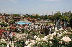 茨木市真砂１丁目の中古一戸建て(若園公園)